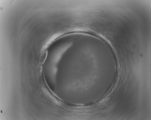 X0000056001367200508261739