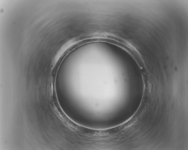 X0000056001368200508261739