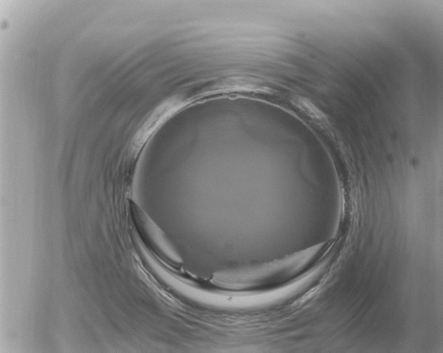 X0000056001369200508261739