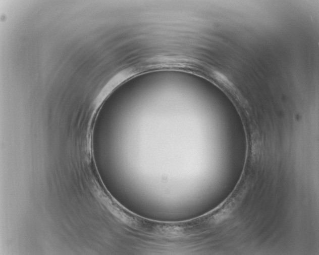 X0000056001370200508261739