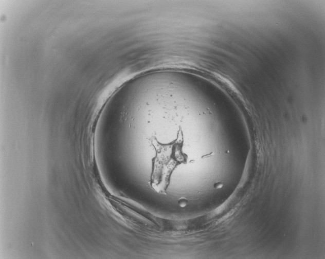 X0000056001371200508261739