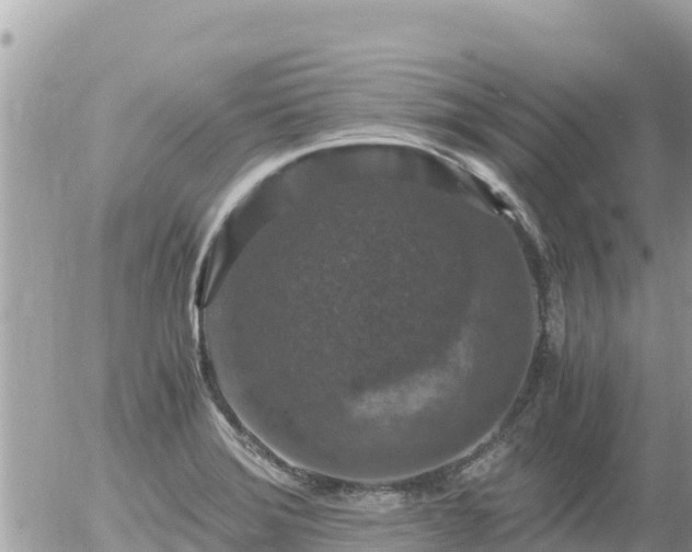 X0000056001372200508261739