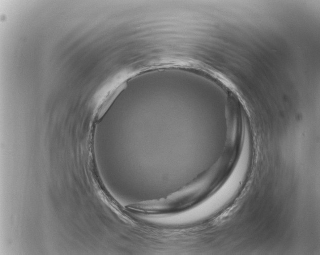 X0000056001373200508261739