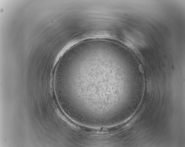 X0000056001374200508261739