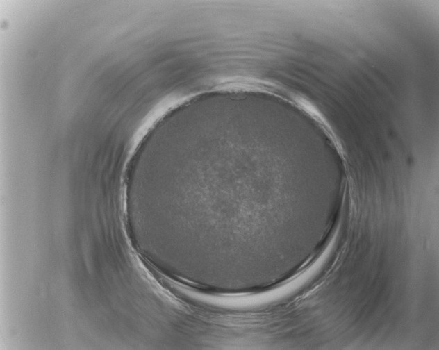 X0000056001376200508261739