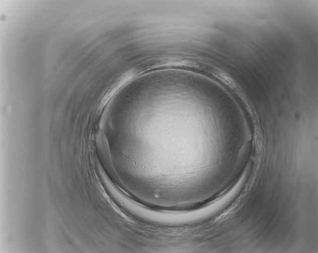 X0000056001377200508261739