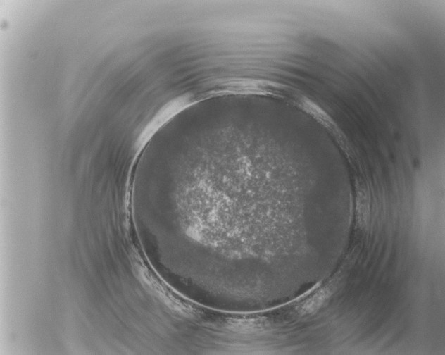 X0000056001378200508261739