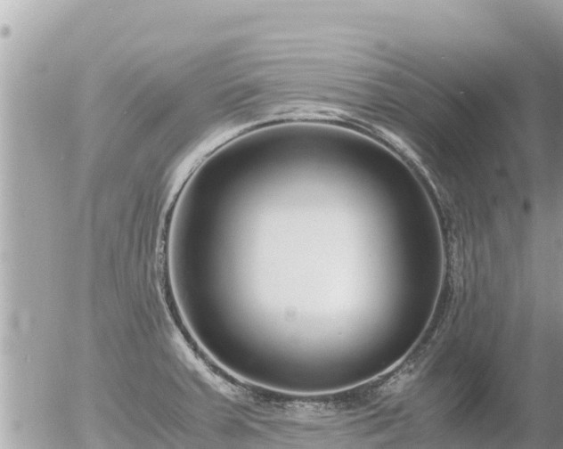 X0000056001379200508261739