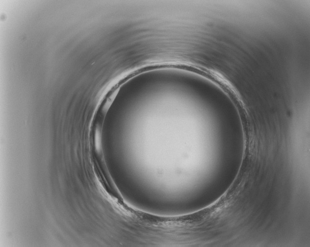 X0000056001380200508261739