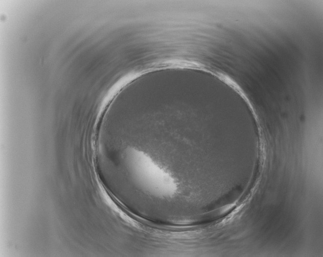 X0000056001381200508261739