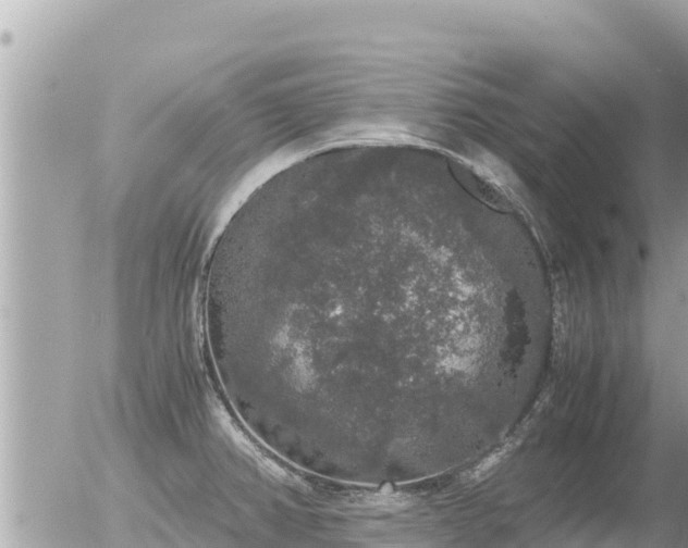 X0000056001382200508261739