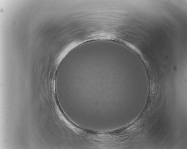 X0000056001383200508261739