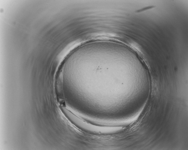 X0000056001384200508261739