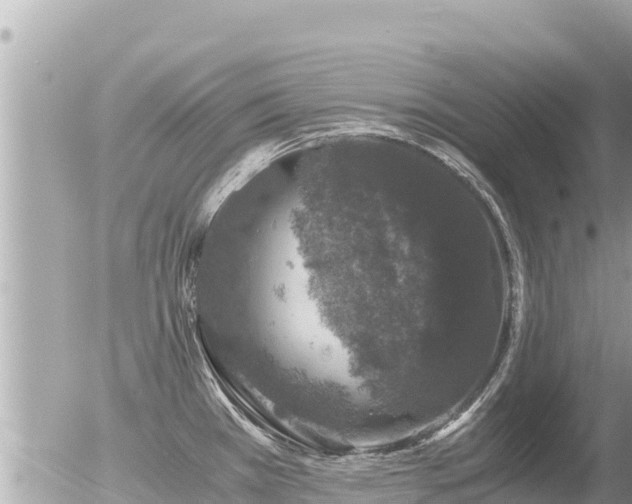 X0000056001385200508261739