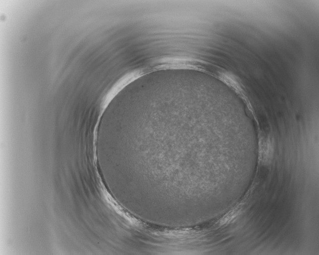 X0000056001386200508261739