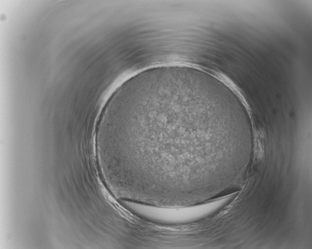 X0000056001388200508261739