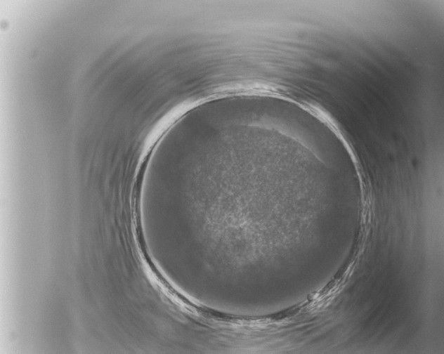 X0000056001389200508261739