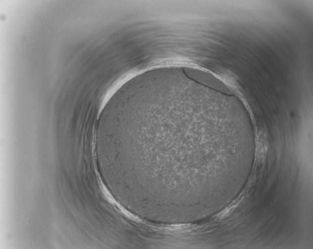 X0000056001390200508261739