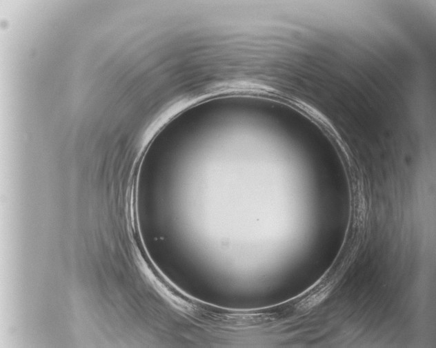 X0000056001391200508261738