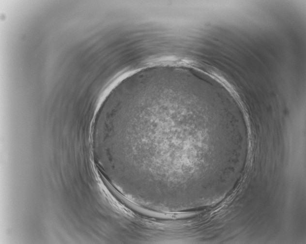 X0000056001392200508261738