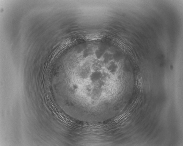 X0000056001393200508261738