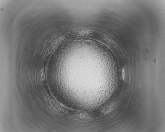 X0000056001395200508261738