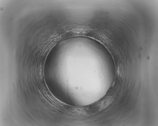 X0000056001396200508261738