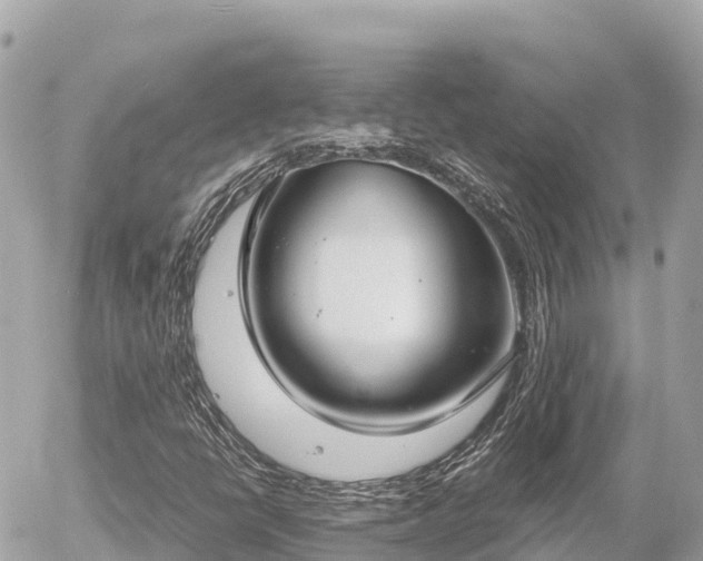 X0000056001398200508261738