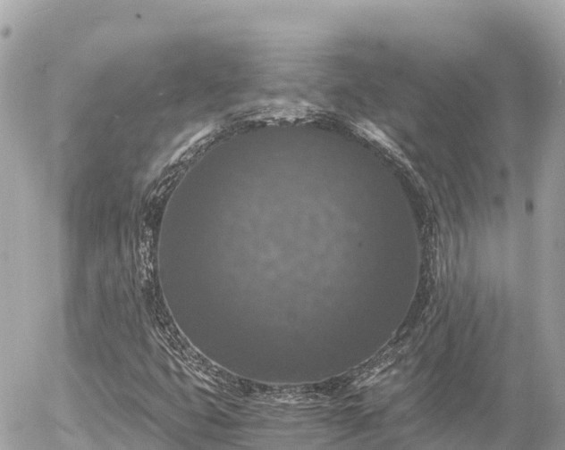 X0000056001399200508261738