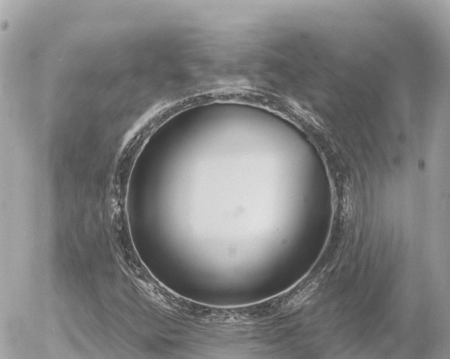 X0000056001400200508261738