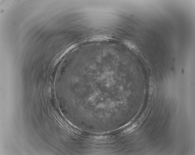 X0000056001401200508261738