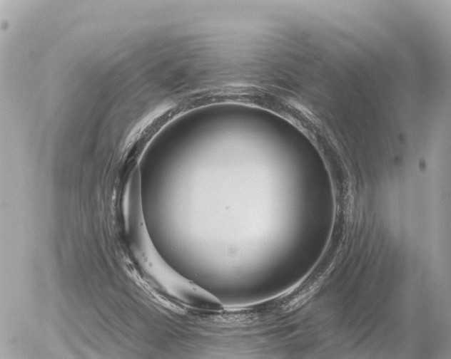 X0000056001402200508261738