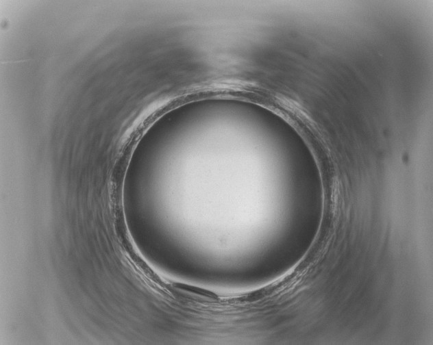 X0000056001404200508261738