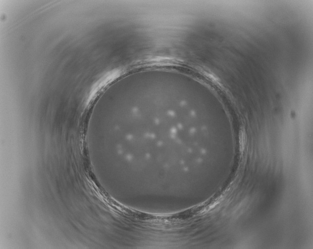 X0000056001405200508261738