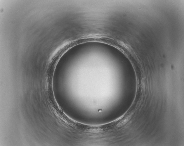 X0000056001406200508261738