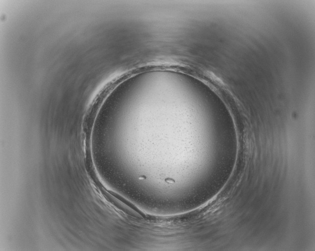 X0000056001408200508261738