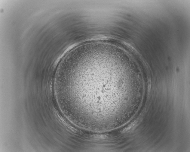 X0000056001409200508261738