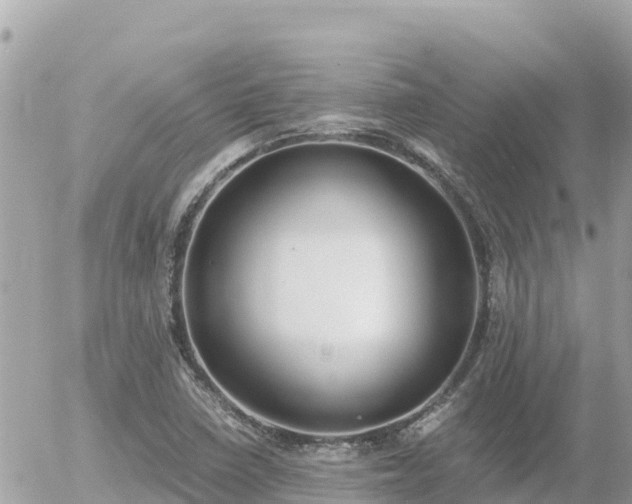 X0000056001410200508261738