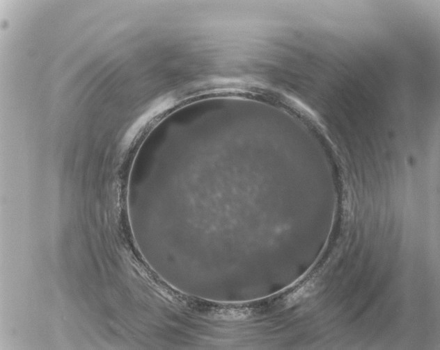 X0000056001411200508261738