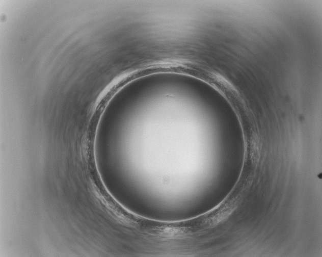 X0000056001412200508261738