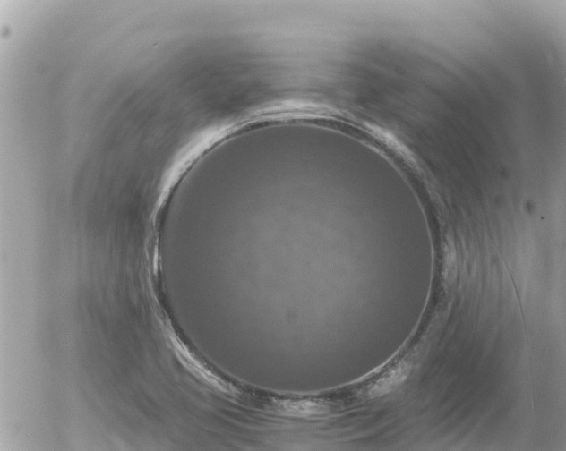 X0000056001413200508261738