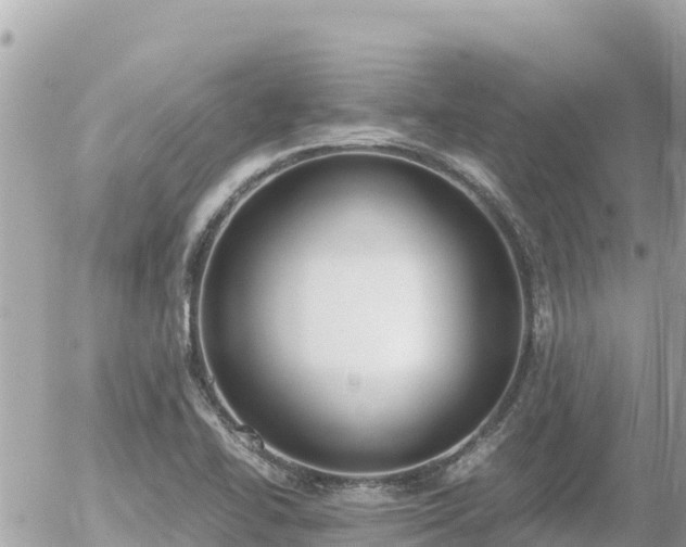 X0000056001414200508261738