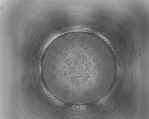 X0000056001415200508261738