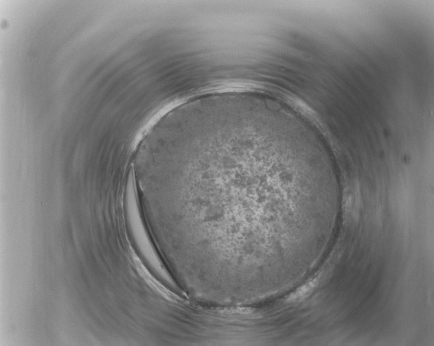 X0000056001417200508261738