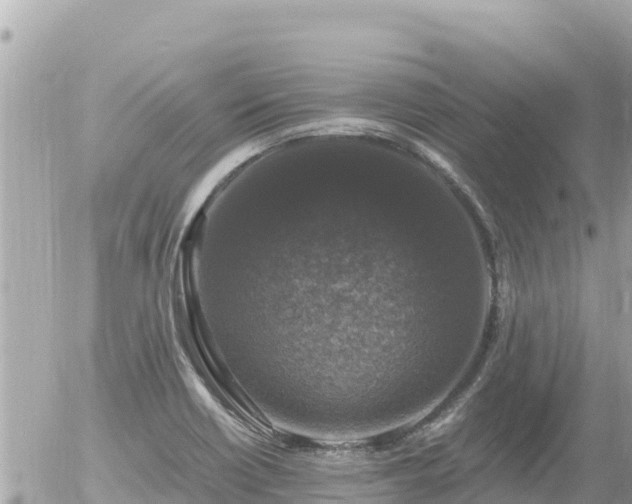 X0000056001418200508261738