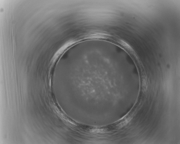 X0000056001419200508261738