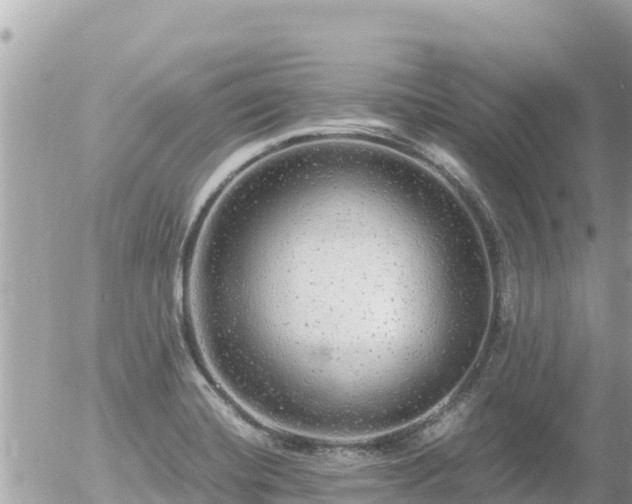 X0000056001420200508261738