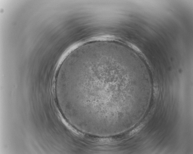 X0000056001421200508261738