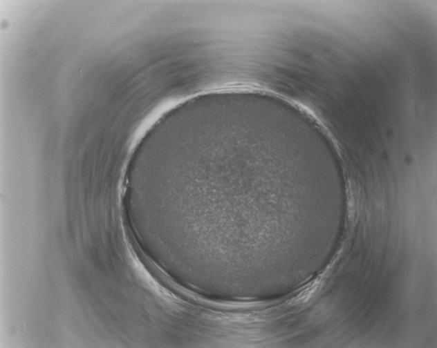 X0000056001422200508261738