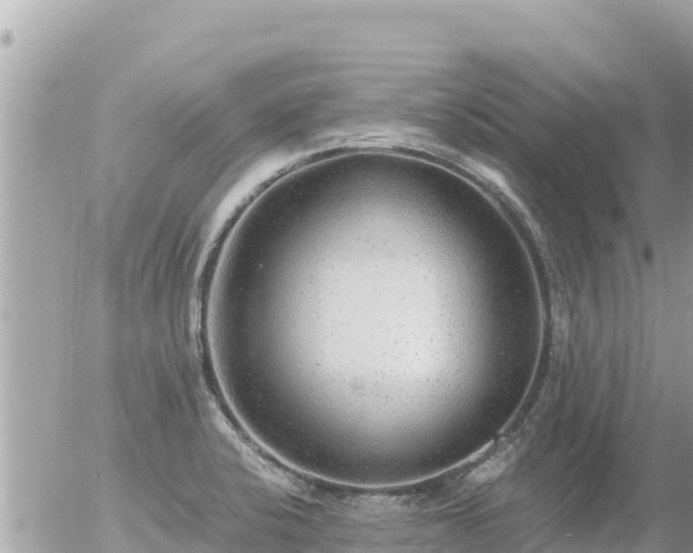 X0000056001424200508261738